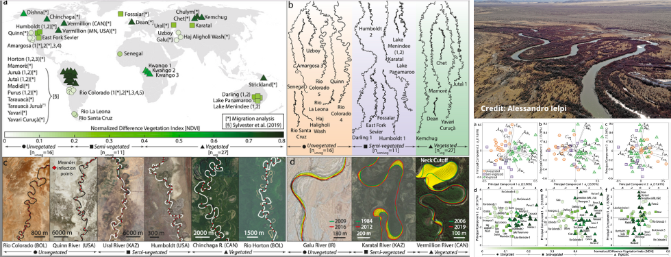 How Vegetation Influences The Evolution Of Meandering Rivers ...